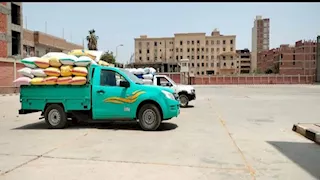 توريد 599 ألف طن قمح لصوامع الشرقية