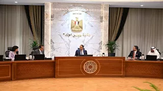 مدبولي يستعرض مع مؤسسة "برجيل القابضة" التعاون في مجال زرع النخاع