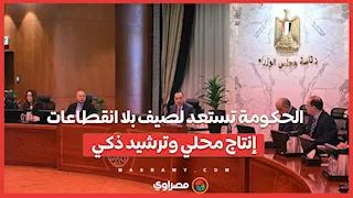 الحكومة تستعد لصيف بلا انقطاعات.. إنتاج محلي وترشيد ذكي