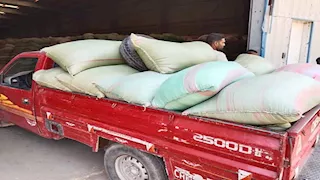 محافظ المنيا: ارتفاع حصيلة توريد القمح إلى 511 ألف طن 