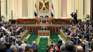 برلماني: موقف مصر ضد احتلال غزة رفض تام وحاسم لسياسات الإبادة والتجويع   