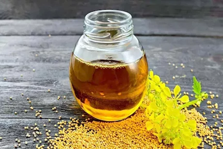 هل يُضر زيت الخردل القلب؟ 5 مخاطر عند الإفراط في تناوله