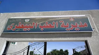 مديرية الطب البيطري بالوادي الجديد تطرح لحومًا بلدية بـ280 جنيها للكيلو