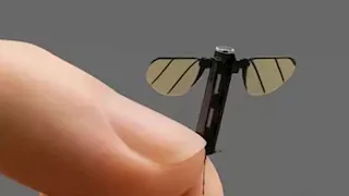 طولها 2 سم فقط.. الصين تكشف عن "بعوضة تجسس" 