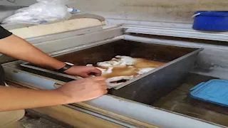 ضبط 1.5 طن دواجن غير صالحة للاستهلاك الآدمي في القليوبية 