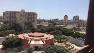 فسحة بـ 5 جنيه.. "نسناس مون وأسود" تستقبل المحتفلين بالعيد في حديقة حيوان الإسكندرية