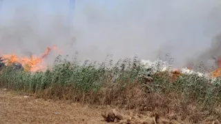 الدفع بـ14 سيارة إطفاء للسيطرة على حريق شونة كتان بالغربية -صور
