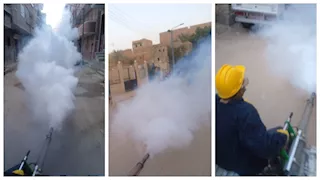 صحة أسيوط تكثف حملات مكافحة الحشرات خلال أيام عيد الأضحى