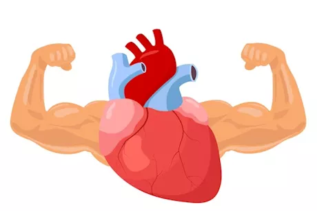 في 5 خطوات- دليلك لتقوية عضلة القلب