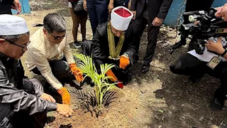 وزير الأوقاف يغرس "الشجرة المصرية" في الفلبين تجسيدًا لرسالة السلام 