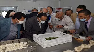 "من دودة القز إلى صناعة وطنية".. أول مركز قومي للحرير في الوادي الجديد (صور)