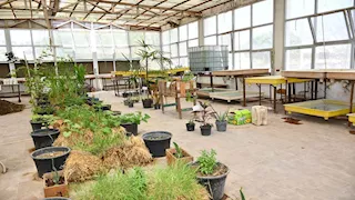 وحدة تدوير المخلفات الزراعية بجامعة قناة السويس.. معمل بيئي يُنتج حياة خضراء