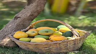 احذر قبل تقشيرها.. علامتان في المانجو إذا رأيتهما تخلص منها فورا