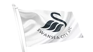 لاعب أسطوري ومغني عالمي.. من هم مالكي نادي سوانزي سيتي الجدد؟