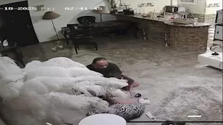 هدير عبد الرازق وطليقها أمام النيابة العامة للاستماع لأقوالهما في البلاغات المتبادلة