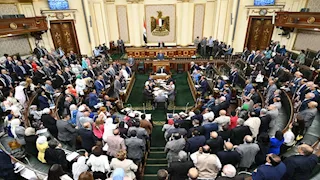 طلب إحاطة عاجل بشأن تفاقم أزمة عمالة الأطفال وغياب آليات الحماية