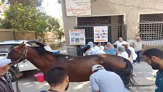 "الخدمات البيطرية" تنفذ أنشطة تدريبية وعلاجية لحيوانات الفصيلة الخيلية