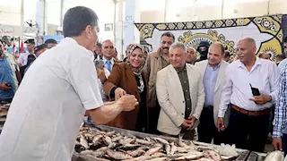 غدًا مبادرة "أسماك البلد لأهل البلد" تنطلق في التل الكبير بأسعار مخفضة 