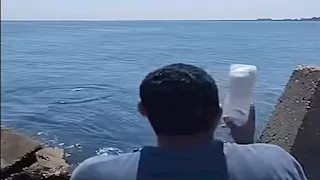 مواطن مصري يلقي قوارير بلاستيكية مليئة بالطعام لإغاثة غزة