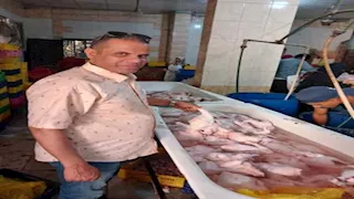 تحصين أكثر من 42 ألف رأس ماشية في الجيزة خلال 3 أسابيع