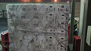 مصر تُصدّر شحنة تقاوي بطاطس "ميني تيوبر" إلى أوزبكستان بالتكنولوجيا الحديثة