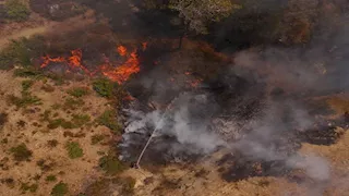 تركيا تحذر من خطر اندلاع حرائق الغابات