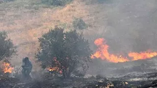 نشوب حريق غابات كبير ثان في تركيا مع استمرار ارتفاع درجات الحرارة