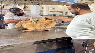 تاجر يتخلى عن 7 آلاف جنيه وينقذ سلحفاة نادرة بالإسماعيلية يو آر