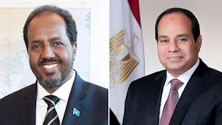 تعاون ثنائي وقضايا القرن الإفريقي.. تفاصيل لقاء السيسي ونظيره الصومالي