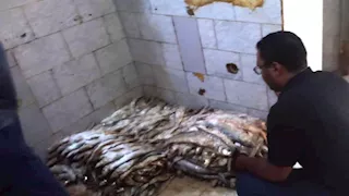 مصادرة أطنان من الأسماك الفاسدة في حملة مفاجئة بأسوان (صور)