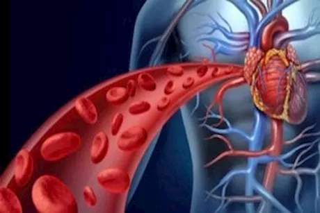 بدون أدوية.. 5 فواكه لتحسين مستويات الهيموجلوبين