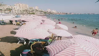 مع حرارة تقترب من 40 درجة.. هدوء بحر الإسكندرية يغري المصطافين بالشواطئ - صور