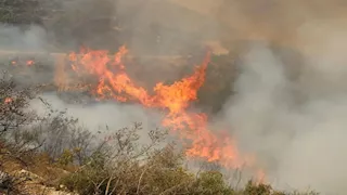 بالصور| حرائق في سوريا ودول جنوب أوروبا والبلقان بسبب موجة الحر