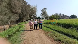 معركة الفلاحين ضد الطقس.. كيف يواجه مزارعو الأرز في كفر الشيخ الحُرق؟