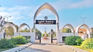 جامعة المنيا تبدأ برنامجي الذكاء الاصطناعي والأمن السيبراني العام المقبل