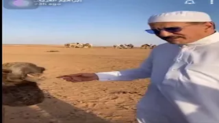 "ناقة".. 5 صور من هدية إعلامي سعودي لـ رونالدو بعد إعلان خطوبته