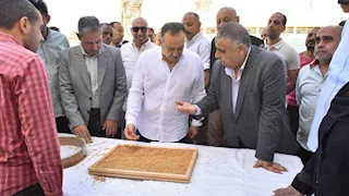 أسيوط تُسجل توريد 185 ألف طن قمح محلي وتحصد نجاح الموسم