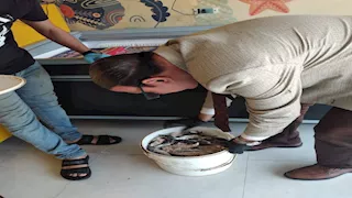 5 صور.. ضبط ومصادرة 500 كيلو فسيخ ورنجة فاسدة بمدينة نصر