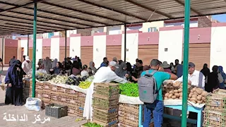 حملات نظافة وأسواق مدعمة.. جهود مكثفة لتحسين الخدمات في 5 مراكز بالوادي الجديد- صور