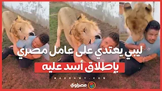 ليبي يعتدي على عامل مصري بإطلاق أسد عليه