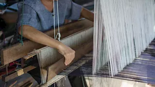 "الزراعة" تواصل جهود تعزيز إحياء صناعة الحرير الطبيعي في مصر