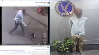 "عذبها والفيديو انتشر".. القبض على شاب بسبب قطة | فيديو 