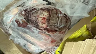 ضبط طن لحوم فاسدة في حملة بأسيوط - صور