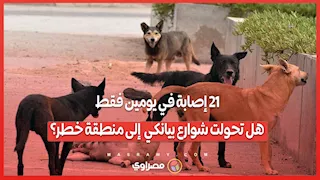 21 إصابة في يومين فقط.. هل تحولت شوارع "بيانكي" إلى منطقة خطر؟