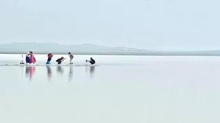 منغوليا.. ما سر بحيرة "الحليب" الطبيعية التي حيرت الزوار؟ (صور)