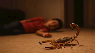 بسبب موجة الحر.. العقارب تلدغ طفلًا وشابًا فى واحة الفرافرة 