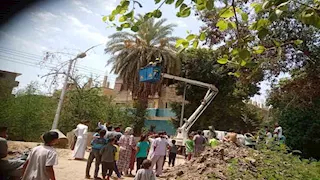 مطاردة طريفة في الأقصر.. أهالي يلاحقون قردين بين الأشجار- صور