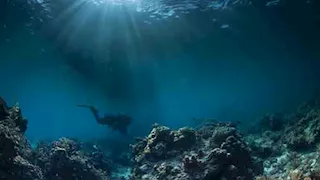 ظاهرة جيولوجية غامضة.. علماء يرصدون قاع بحر مقلوب تحت الماء "صور"