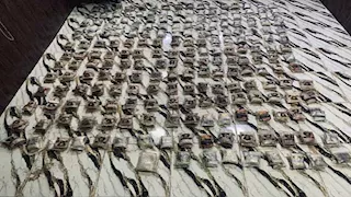 الأردن يحبط محاولة تسلل وتهريب كميات كبيرة من المخدرات عبر الحدود (صورة)