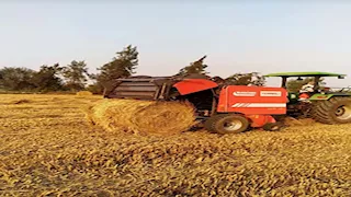 الشرقية تستعد لموسم حصاد الأرز.. فتح مواقع لتجميع القش وتوفير معدات بإيجار رمزي